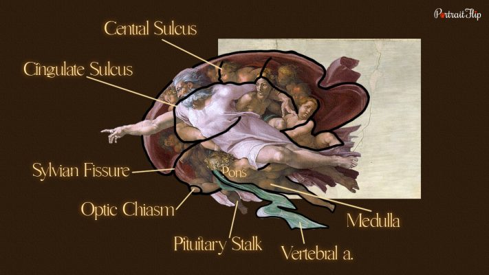 Michelangelo S Creation Of Adam An Insight On The Divine Touch