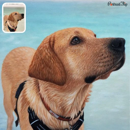 Pet Painting from photo