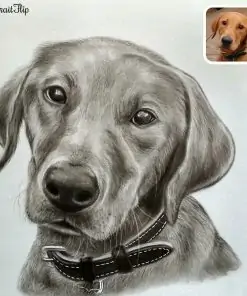 Handmade Pet Pencil Sketch