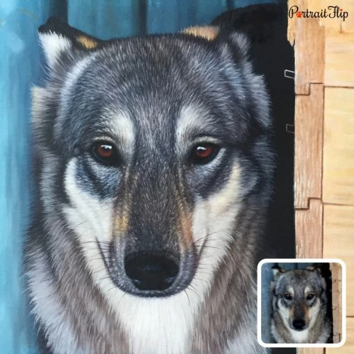 Acrylic Pet Portrait From Photo