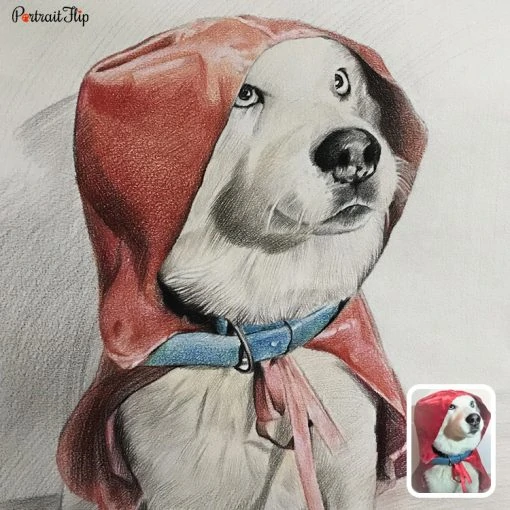 Handmade Colored Pencil Pet Drawing From Photo