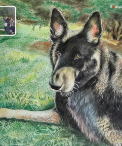 dog colored pencil painting