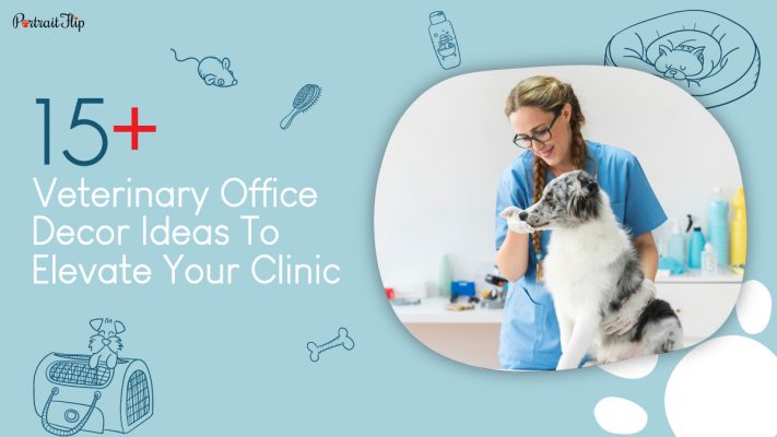 15+ Veterinary Office Décor Ideas to Elevate Your Clinic