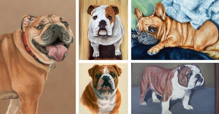 Bulldog Portraits | Dog Oil Paintings from Photos | [Free Shipping]