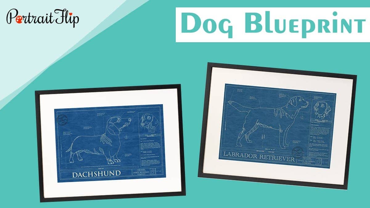 dog blueprint pillow