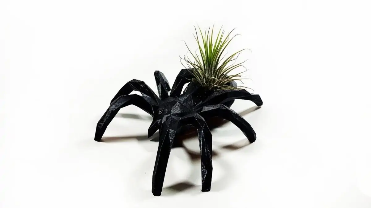 A stone carved succulent planter in the shape of a black spider. a small grass succulent is planted on the back of it's stomach which can be used as a Halloween décor.
