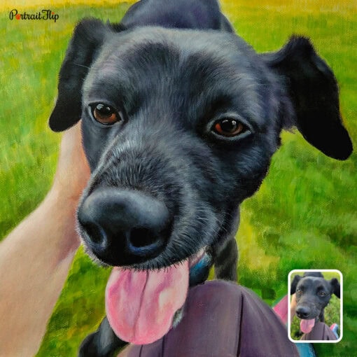dog pastel portrait painting