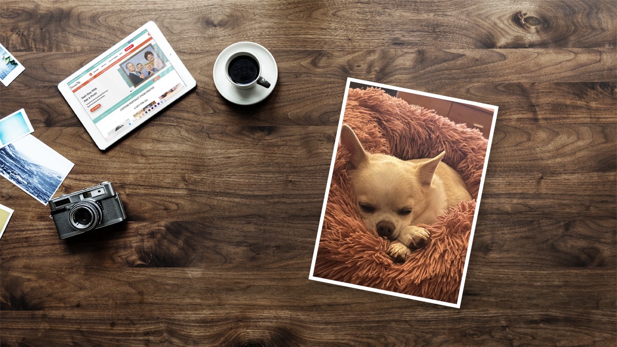 Pet Pastel Portraits | Pet Portraits from your Photos [Free Shipping]