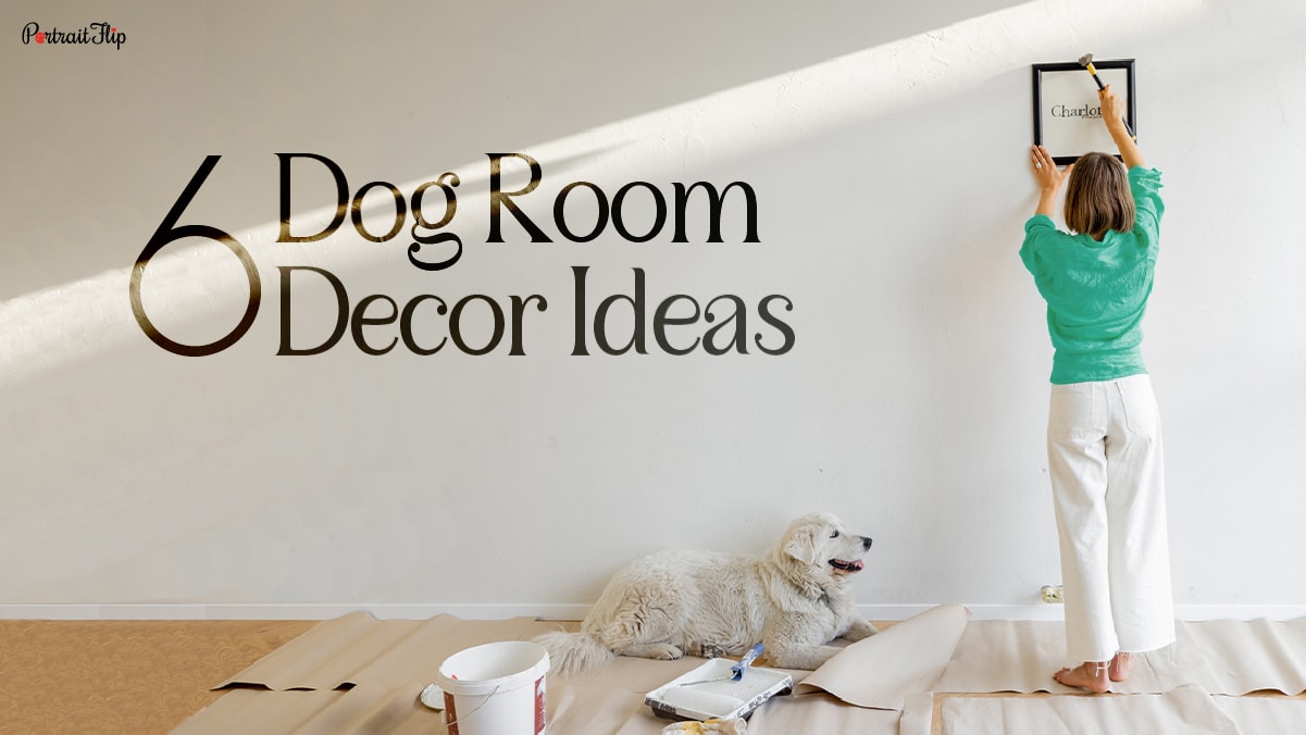 6 Dog Room Decor Ideas That\'ll Make A Friendly Home For Pets!