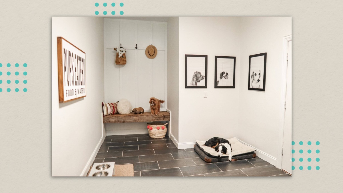 23 Dog Room Decor Ideas