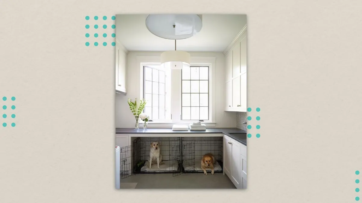 kennels installed in a laundry room