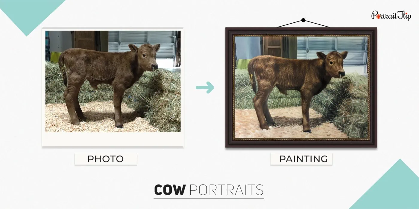 Photo of a cow standing near a bush grass that is converted into cow portraits