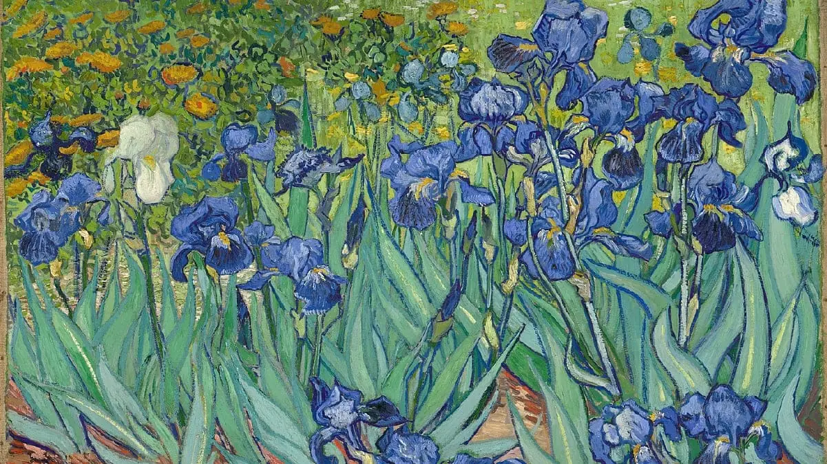Irises Famous Van Gogh Paintings