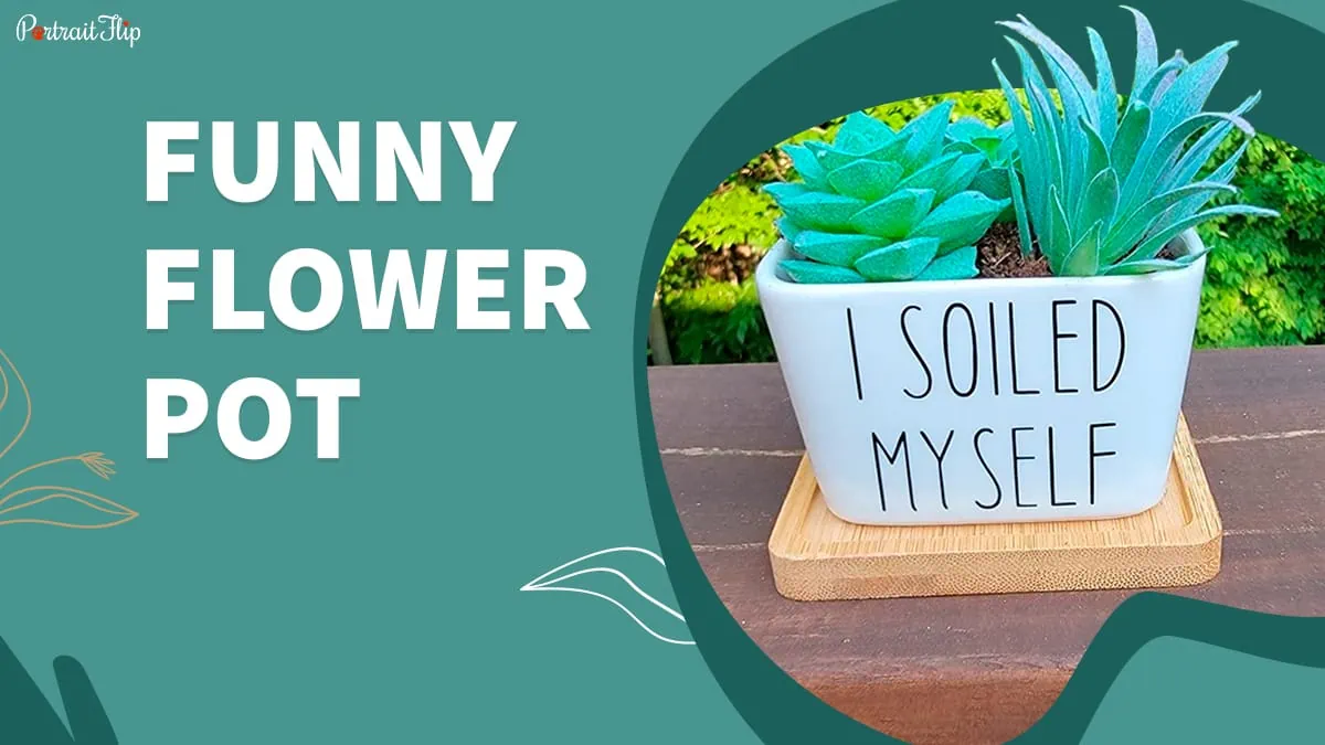 funny flower pot from cotta planters, Just Because Gift