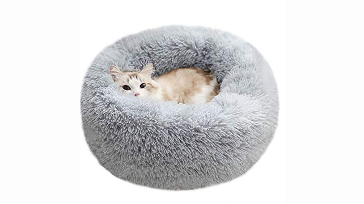 https://www.portraitflip.com/wp-content/uploads/2023/06/Personalized-gifts-for-cat-lovers-Comfy-Cat-bed.jpg