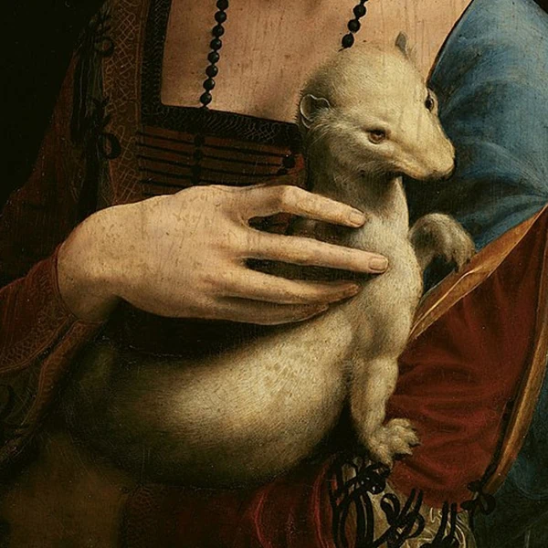 Close look on ermine from Da Vinci's Lady with an Ermine painting 