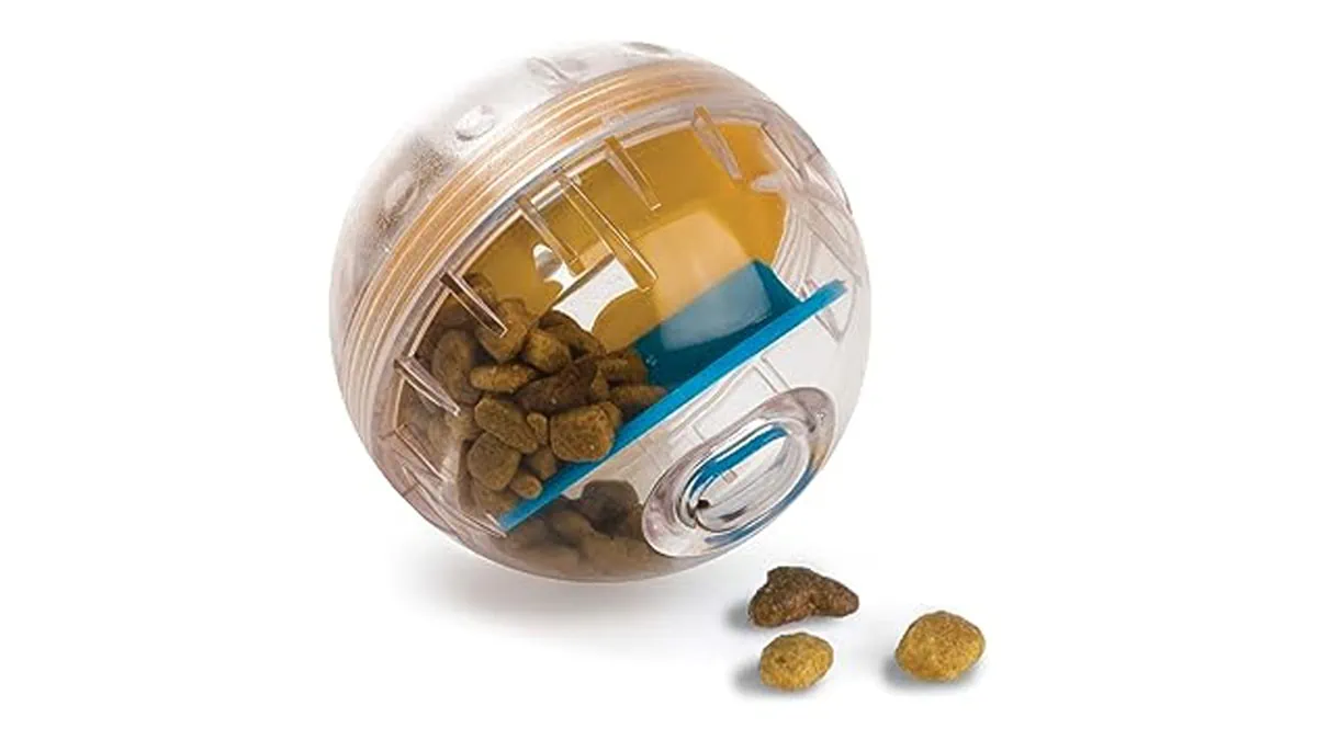 a picture of dog treat dispenser