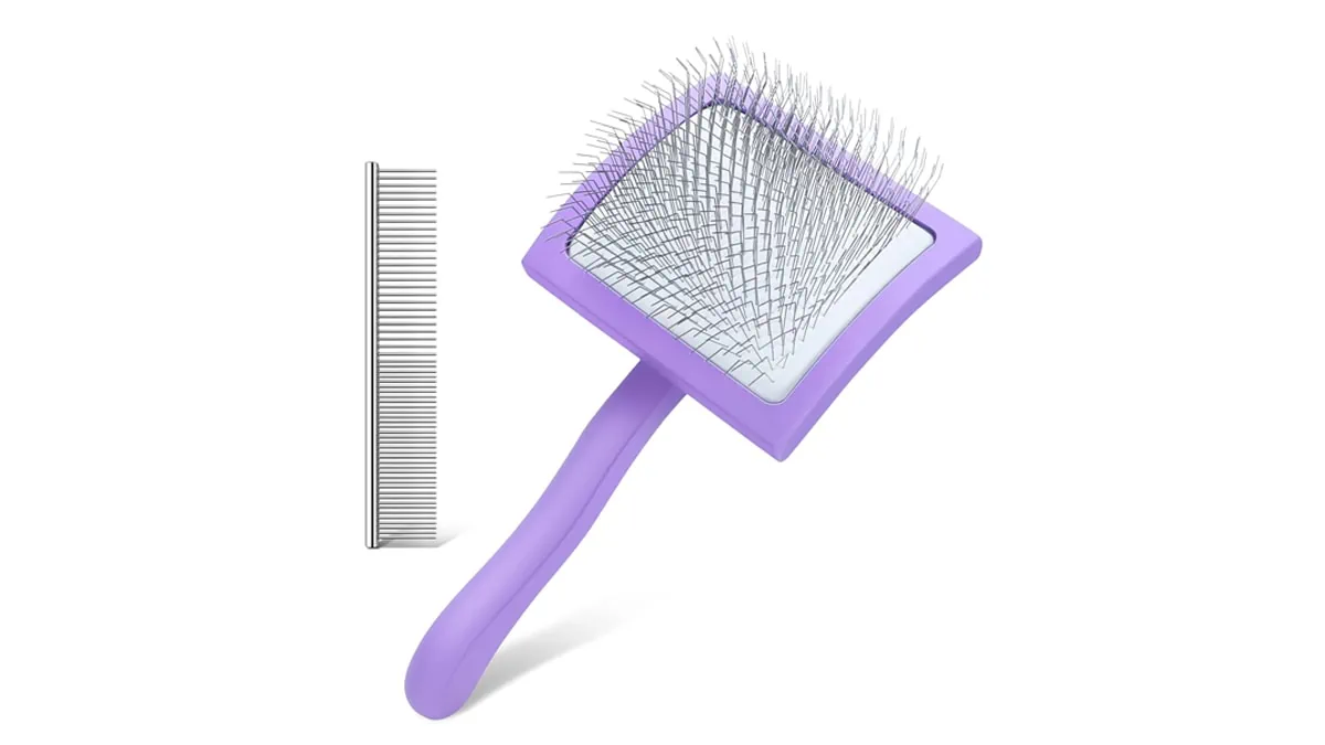 a soft bristle comb for dogs