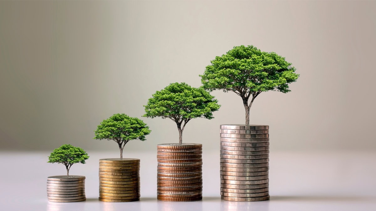 Showing lon-term investment in art with the growth of trees on coins