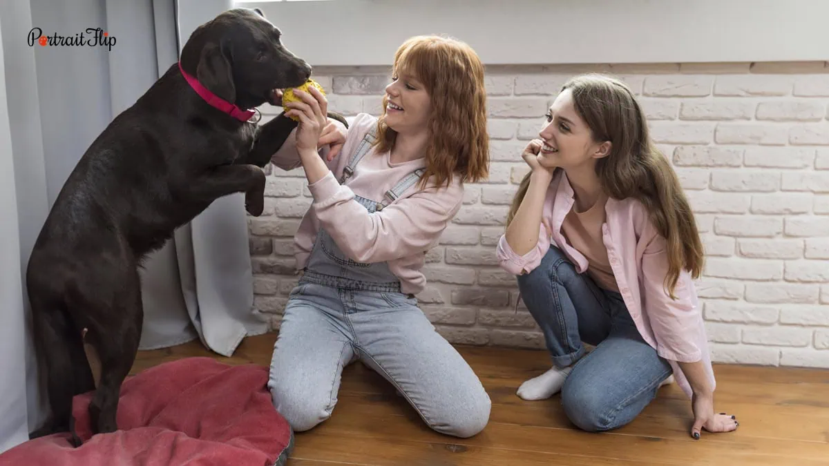 two girls feeding their pet dog