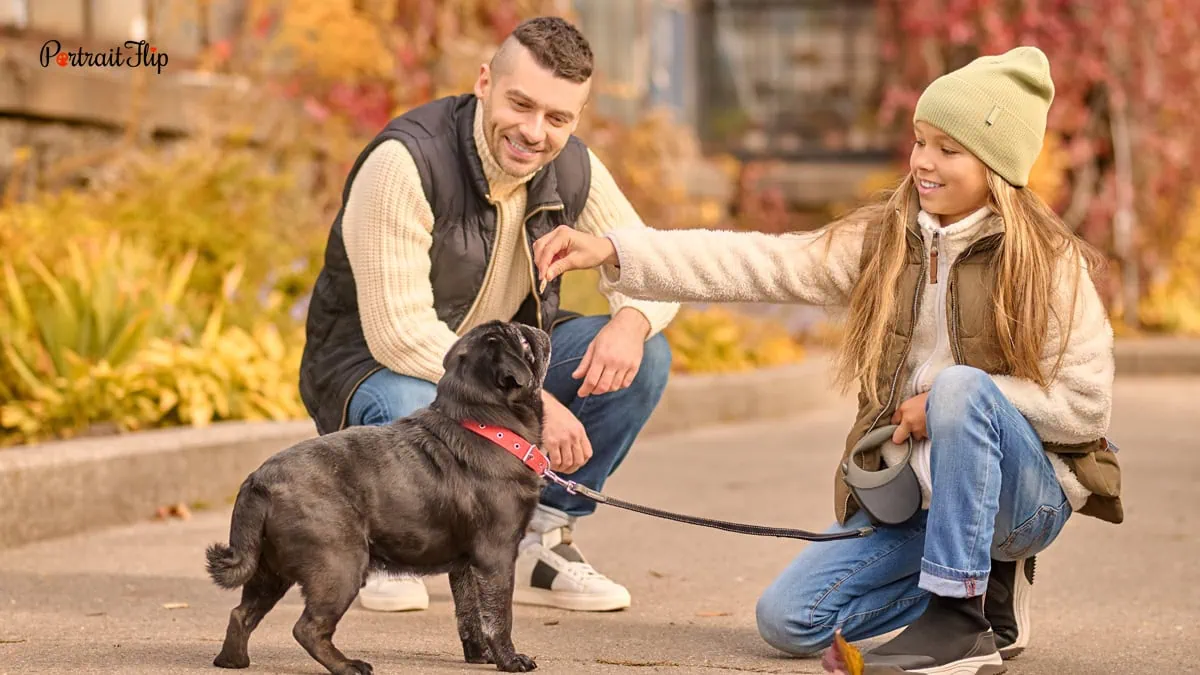 leashed dog with their owner and kid