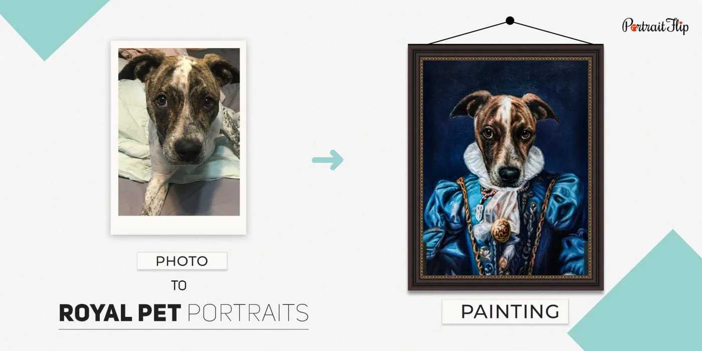 Royal Pet Portraits